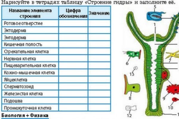 Кракен зеркала официальные