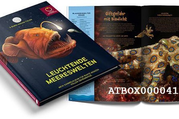 Как восстановить пароль кракен