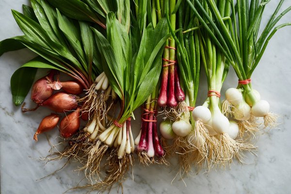 Купить наркотики онлайн
