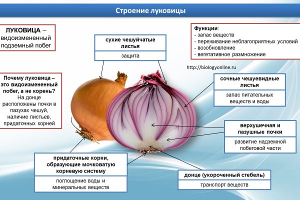 Какая ссылка у кракена