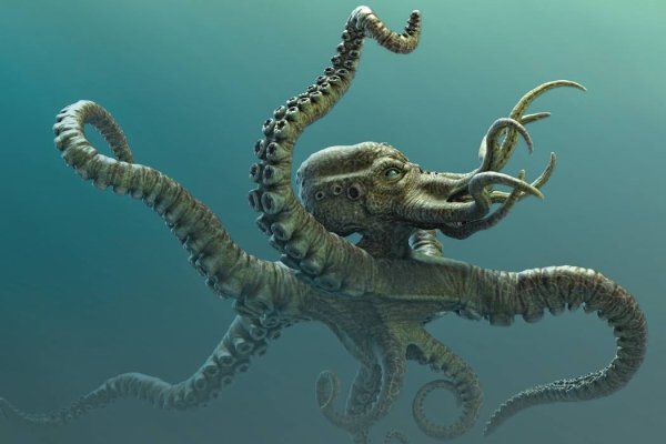 Kraken 6 at