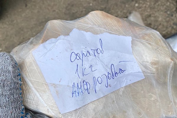 Заказать даркнет